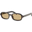 0PRD06S Sunglasses Root Tortoise