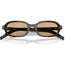 0PRD06S Sunglasses Root Tortoise