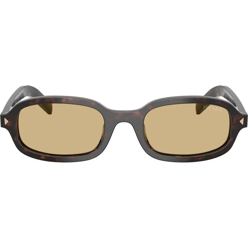 0PRD06S Sunglasses Root Tortoise