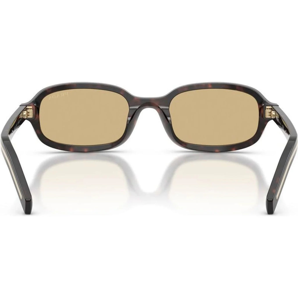 0PRD06S Sunglasses Root Tortoise