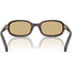 0PRD06S Sunglasses Root Tortoise