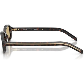 0PRD06S Sunglasses Root Tortoise