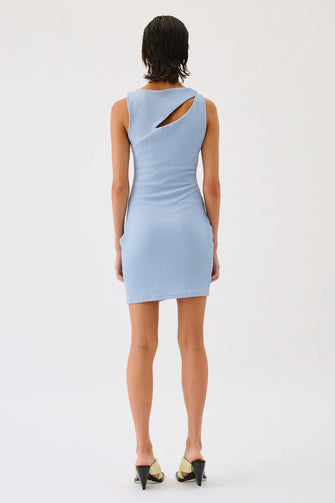 Kinga Slash Front Sleeveless Mini Dress