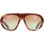 0PRC05S Sunglasses Striped Oak