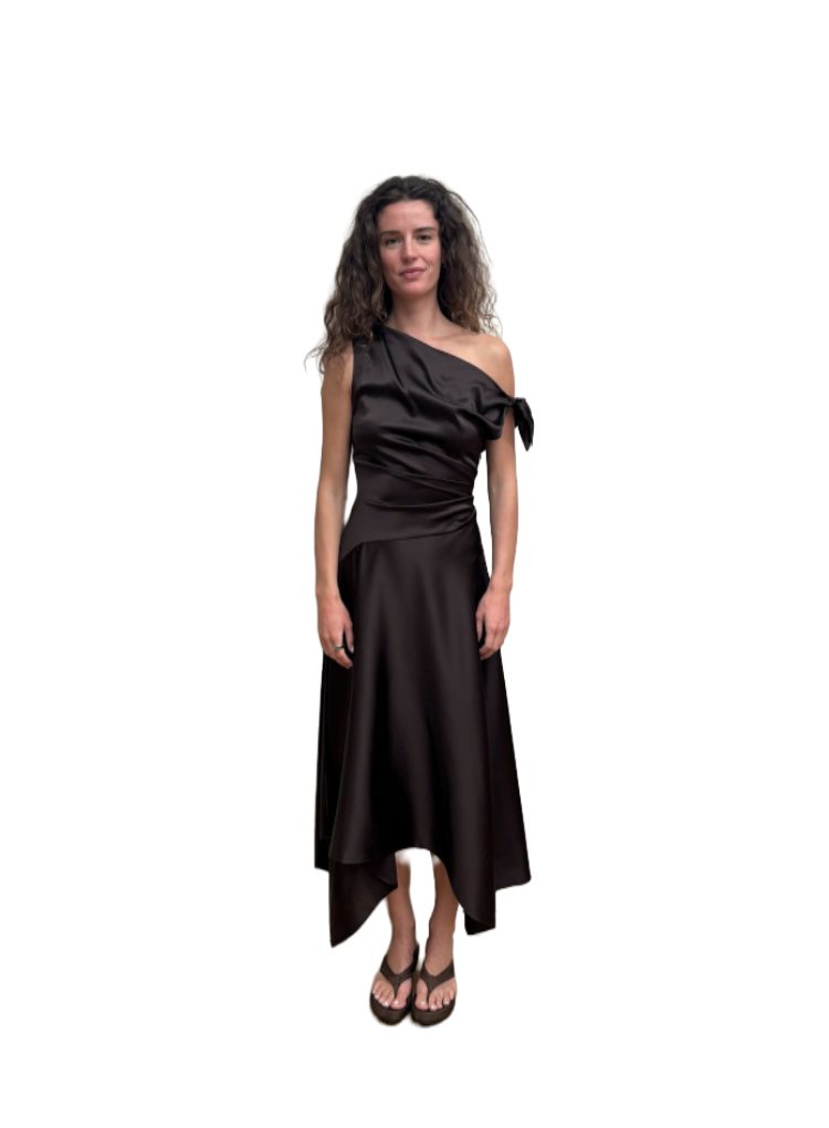 Portia Silk Dress Earth