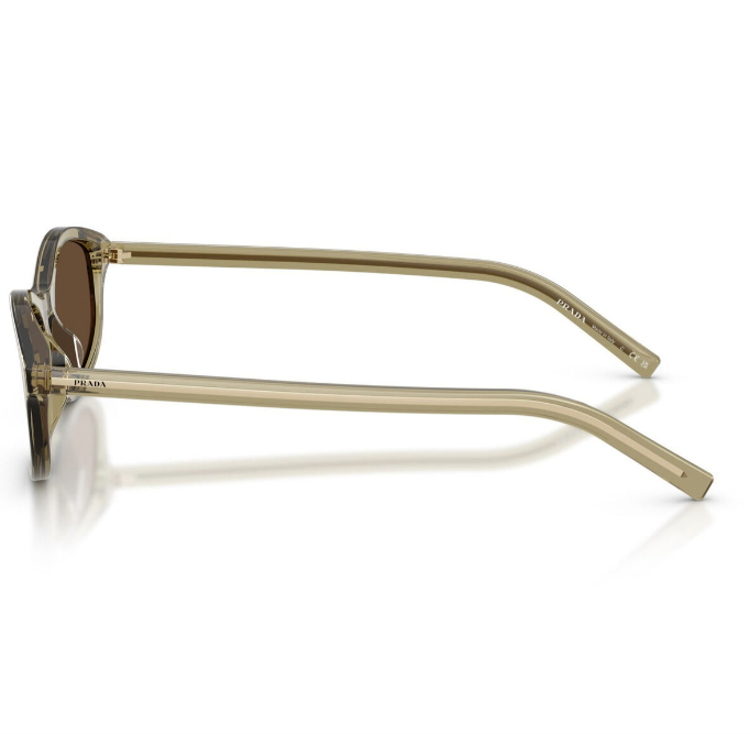 0PRD17S Sunglasses Transparent Loden Dark Brown