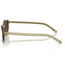 0PRD17S Sunglasses Transparent Loden Dark Brown