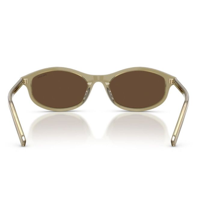 0PRD17S Sunglasses Transparent Loden Dark Brown