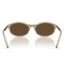0PRD17S Sunglasses Transparent Loden Dark Brown