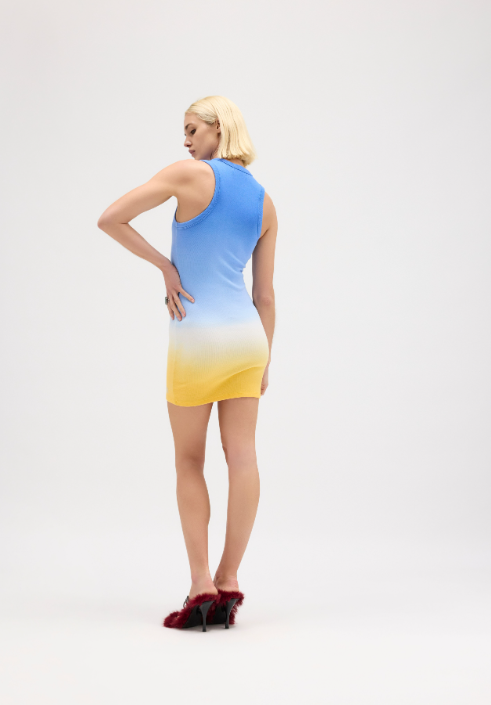 Daybreak Ribbed Mini Dress