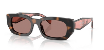 PRB05 Sunglasses Mauve Tortoise