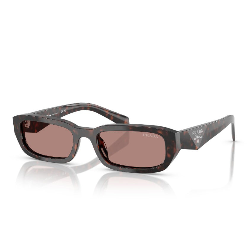 0PRB06S Sunglasses Root Tort