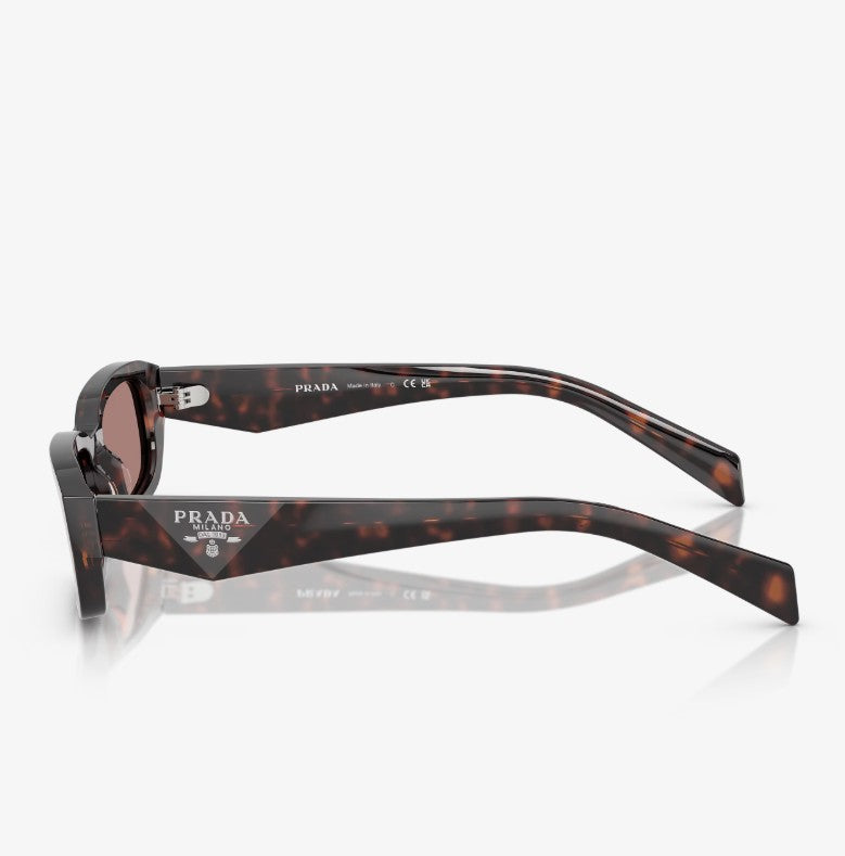 0PRB06S Sunglasses Root Tort