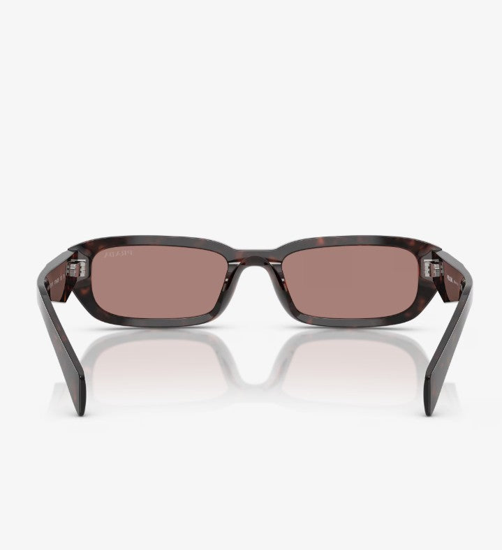 0PRB06S Sunglasses Root Tort