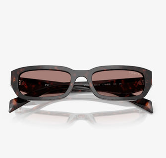 0PRB06S Sunglasses Root Tort