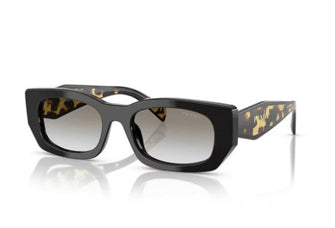 PRB05 Sunglasses Black Tort