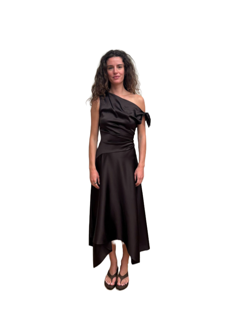 Portia Silk Dress Earth