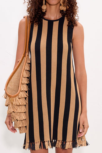 Moji Stripe Mini Dress