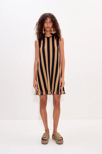 Moji Stripe Mini Dress