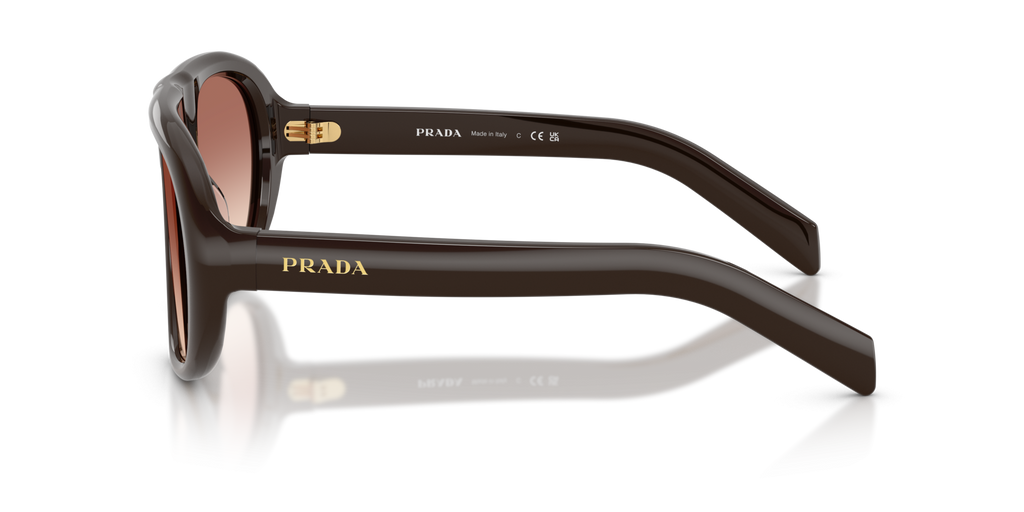 0PRC05S Sunglasses in Cigar