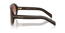 0PRC05S Sunglasses in Cigar