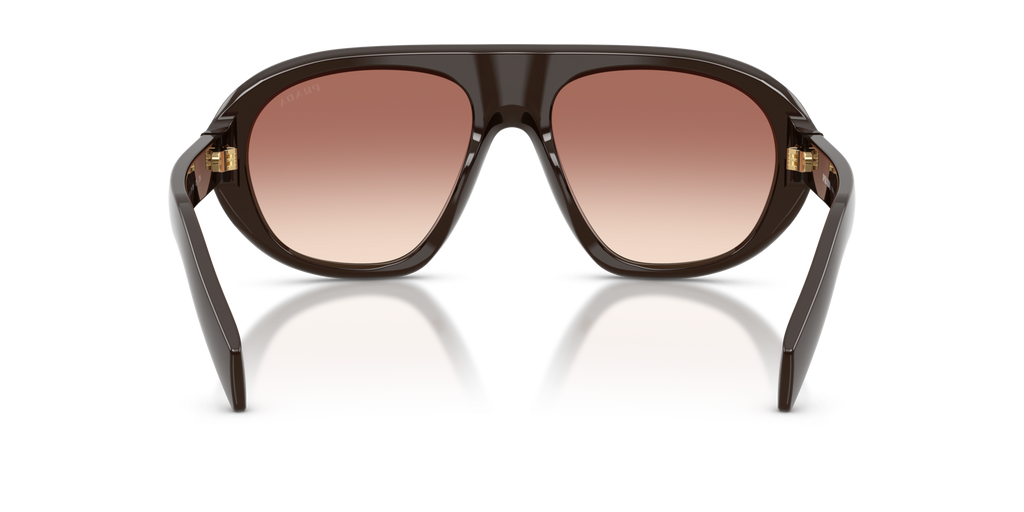 0PRC05S Sunglasses in Cigar