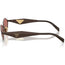 0PRD50S Sunglasses Cigar