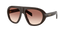 0PRC05S Sunglasses in Cigar