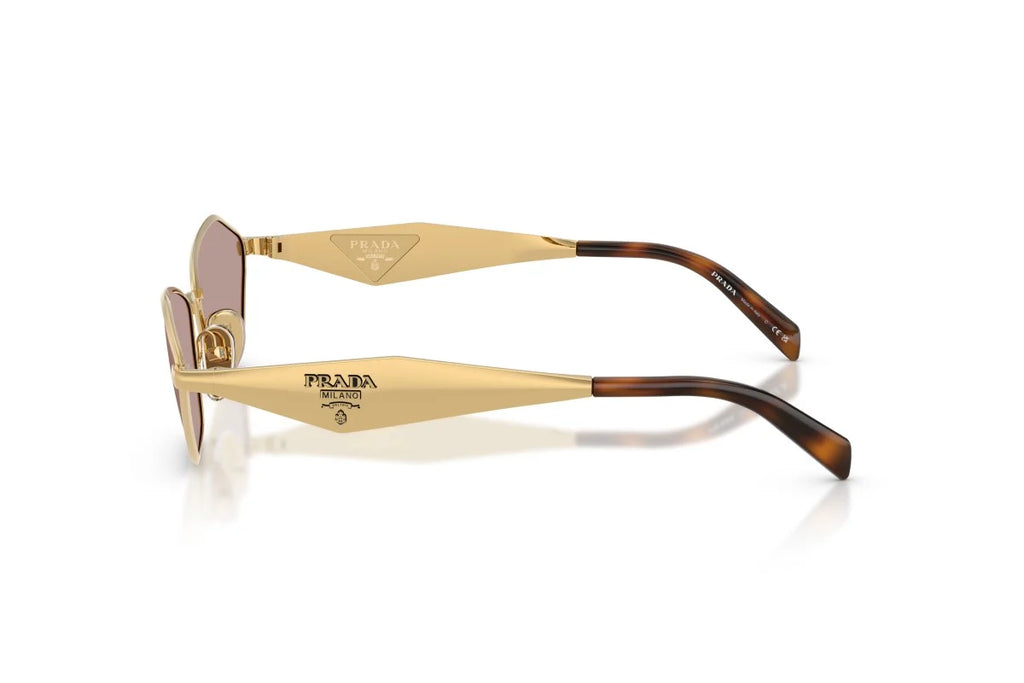 0PRD50S Sunglasses Gold Rose