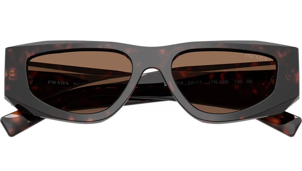 0PRB19S Sunglasses Root Tort