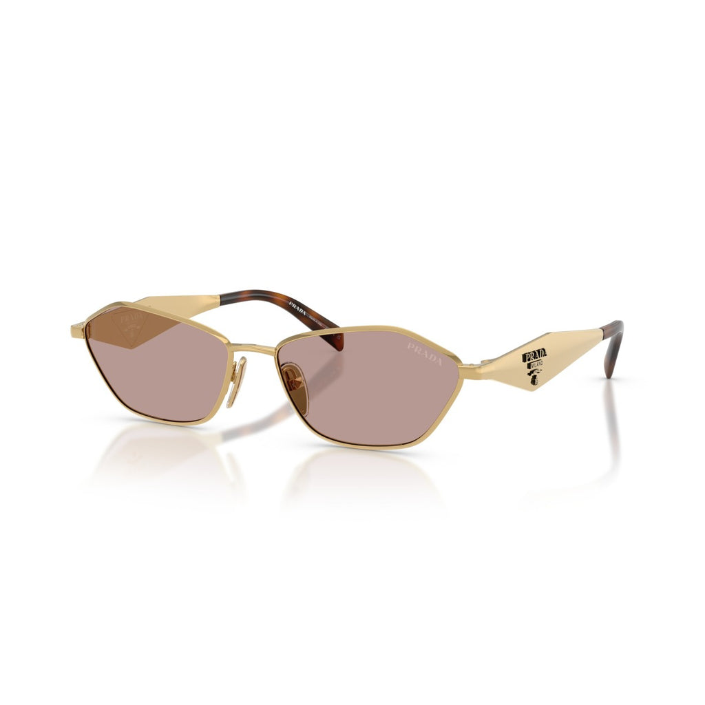 0PRD50S Sunglasses Gold Rose