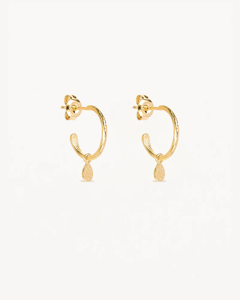 Grace Hoops