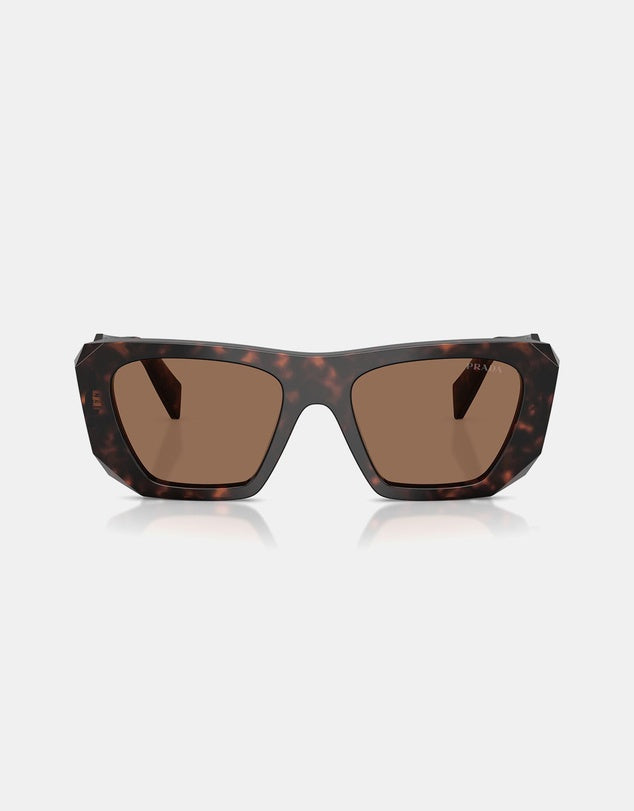 0PR B18S Root Tort Sunglasses