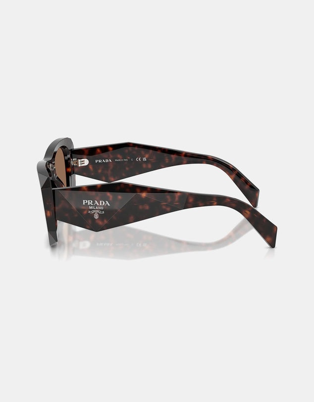 0PR B18S Root Tort Sunglasses