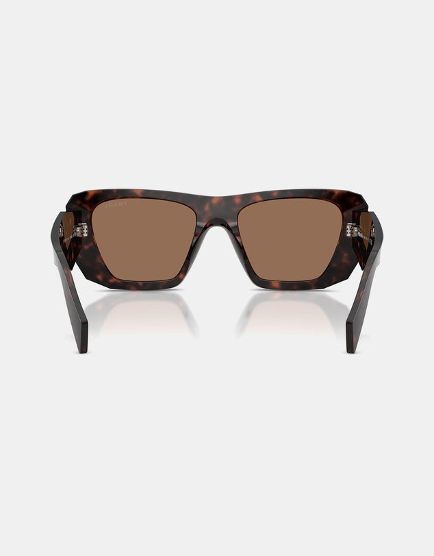 0PR B18S Root Tort Sunglasses