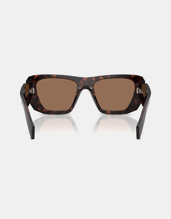 0PR B18S Root Tort Sunglasses