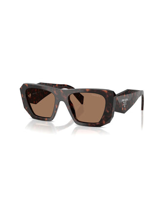 0PR B18S Root Tort Sunglasses
