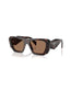 0PR B18S Root Tort Sunglasses