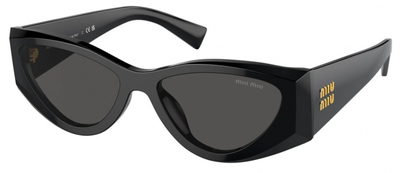 06YS Sunglasses Black