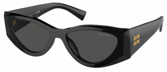 06YS Sunglasses Black