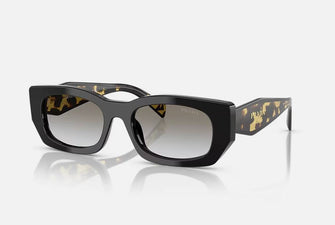 PRB05 Sunglasses Black Tort