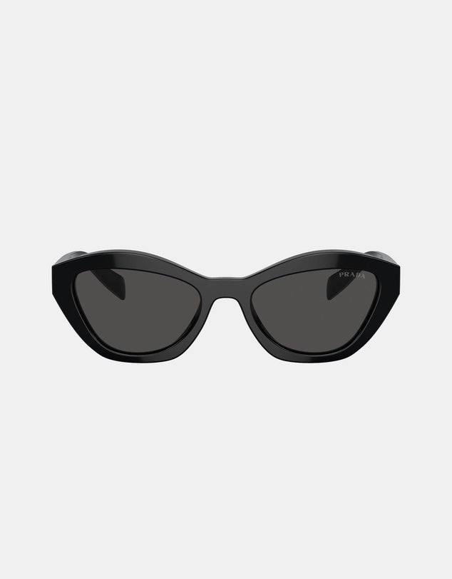 A02S Sunglasses Black