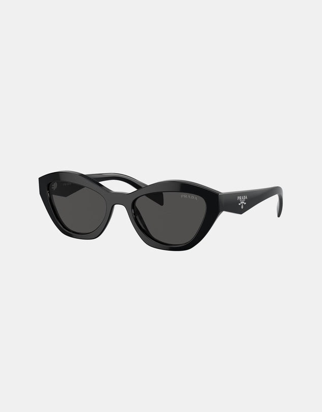 A02S Sunglasses Black