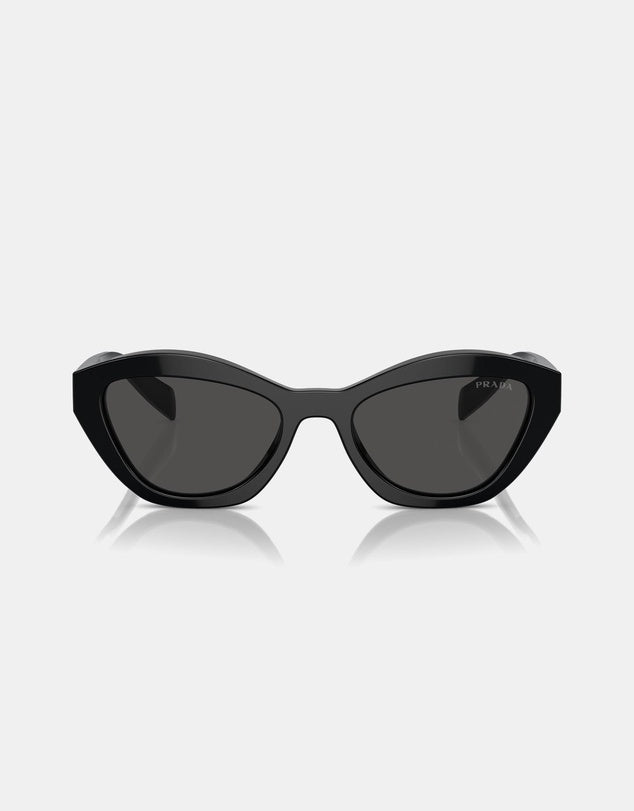 A02S Sunglasses Black