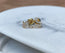 Diamonds Pavé Snake Stud Earrings- Pair