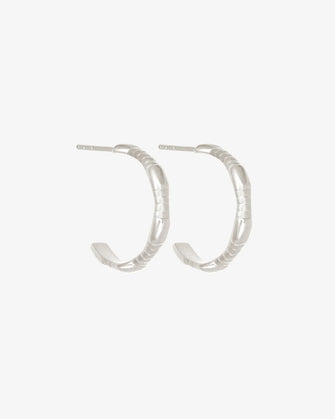 Amari Hoops Silver