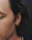 Priam Split Hoops Gold