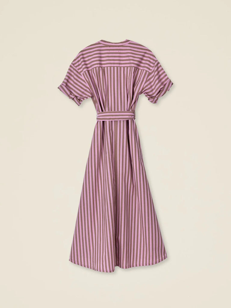 Liora Dress Fig Stripe