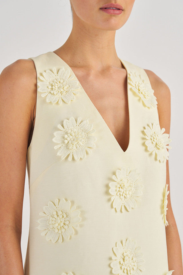 Lace Poppy Shift Dress