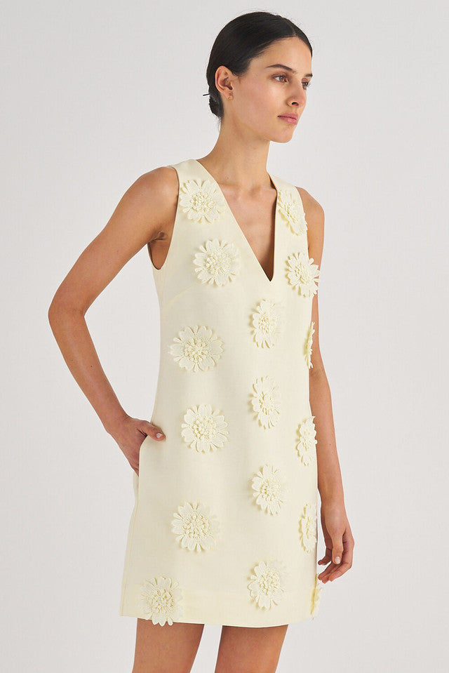 Lace Poppy Shift Dress
